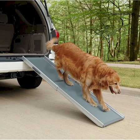 Golden retriever using PetSafe telescoping dog ramp to safely get out of a vehicle