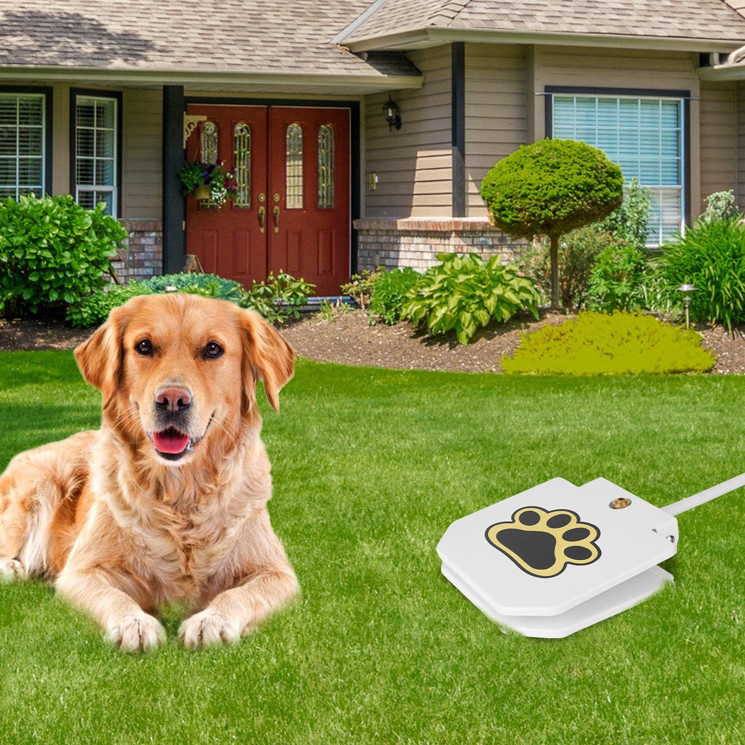 Outdoor dog water fountain with paw print design on green lawn next to golden retriever in front of house