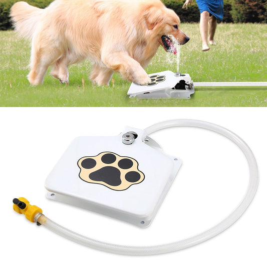Outdoor dog water fountain with paw print design providing fresh water for dogs in the yard