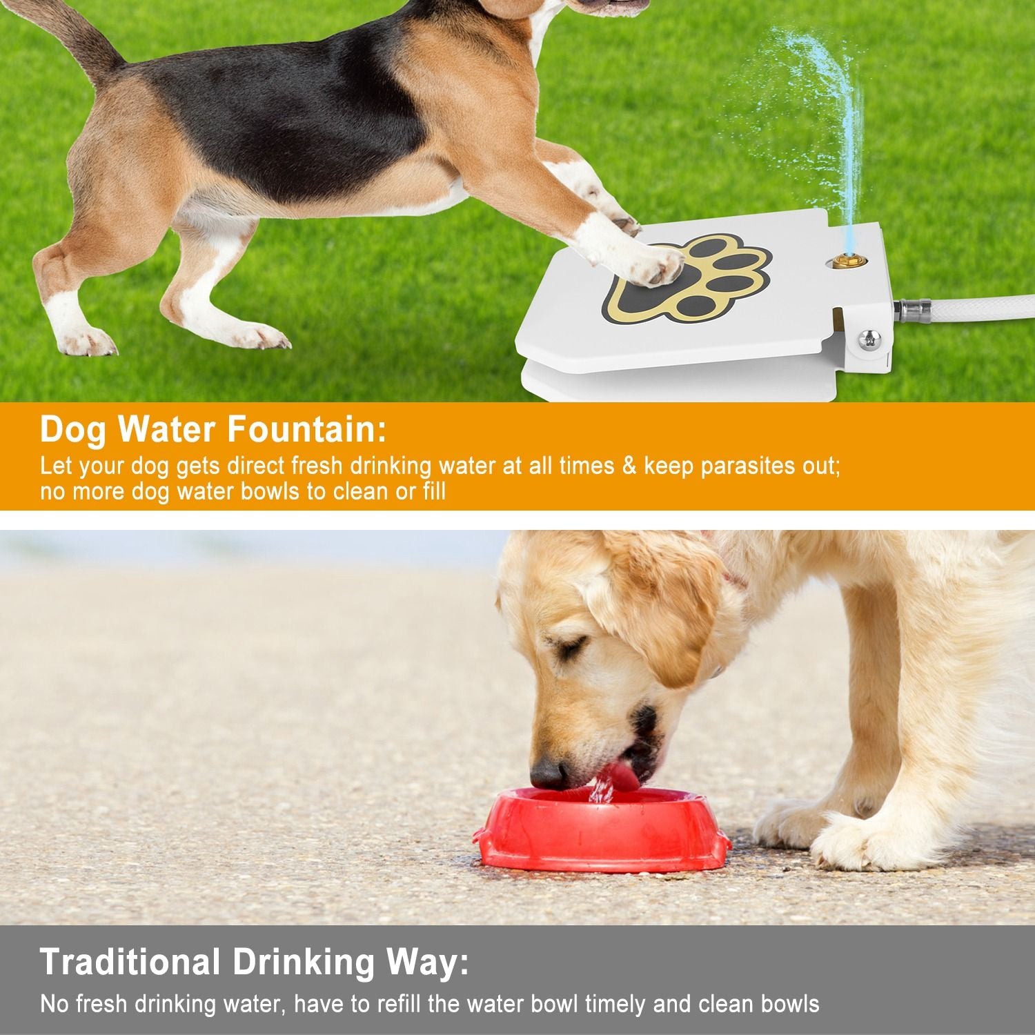 Outdoor dog water fountain with paw print design providing fresh water to a playful dog