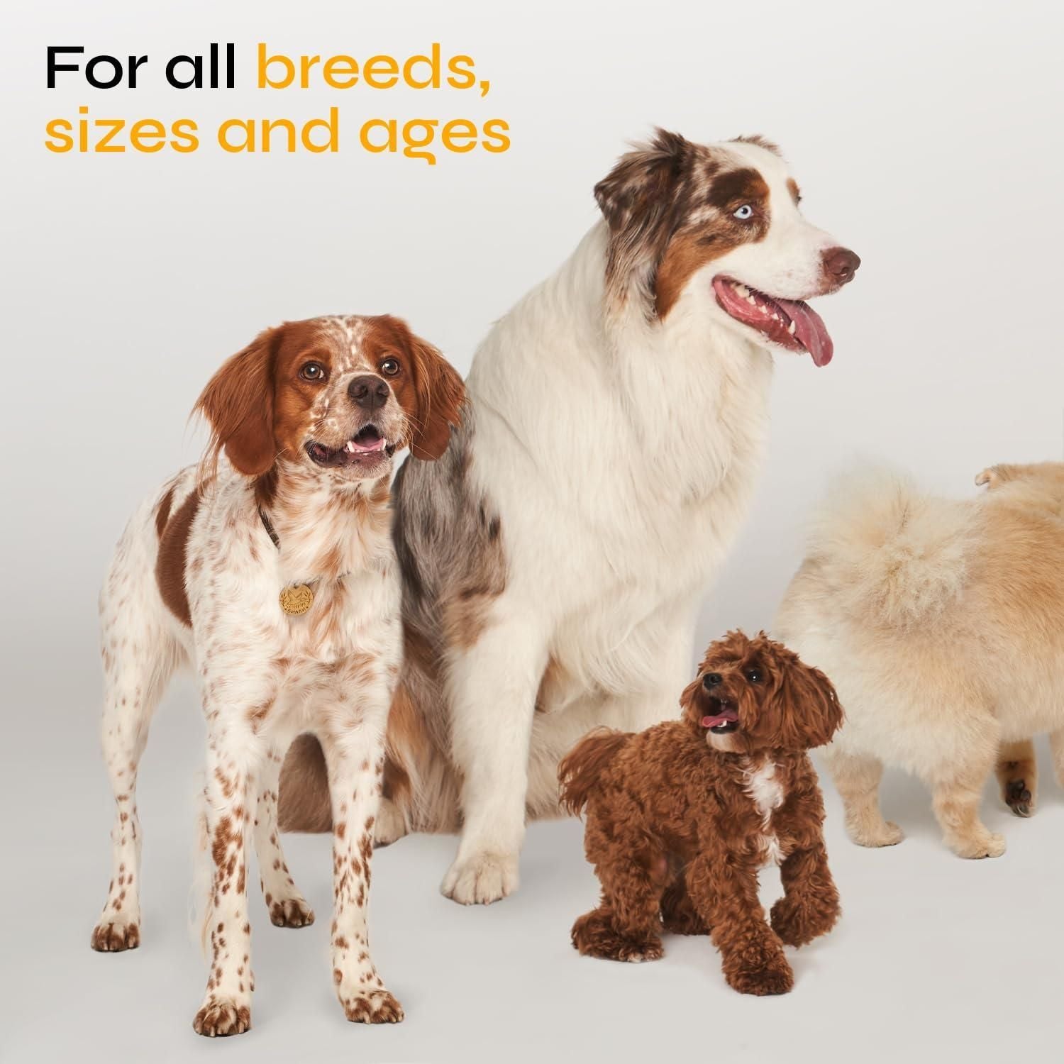 Various dog breeds and sizes represent dog flea tick prevention chews for all ages and sizes