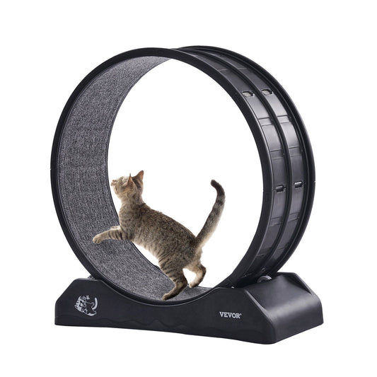 Cat exercise wheel indoor for active play, promoting fitness and fun for your feline friend