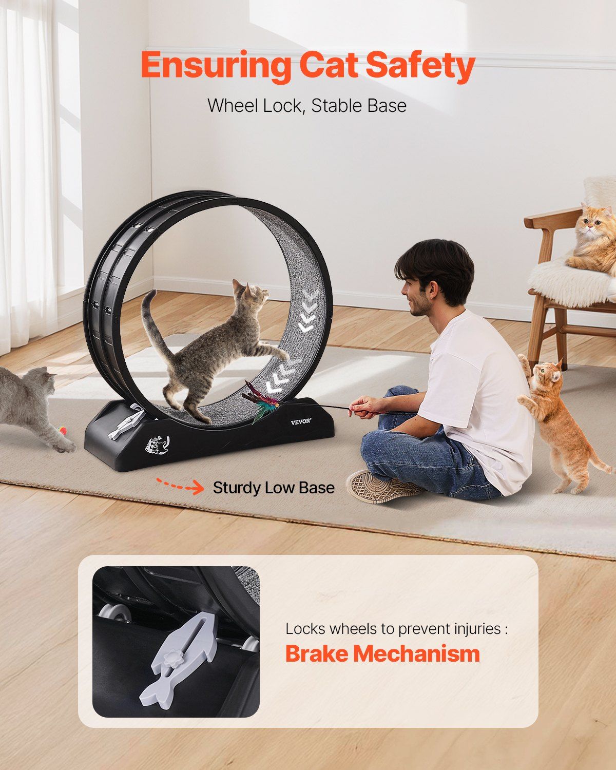 Cat exercise wheel indoor with sturdy base and safety features for playful cats and kittens