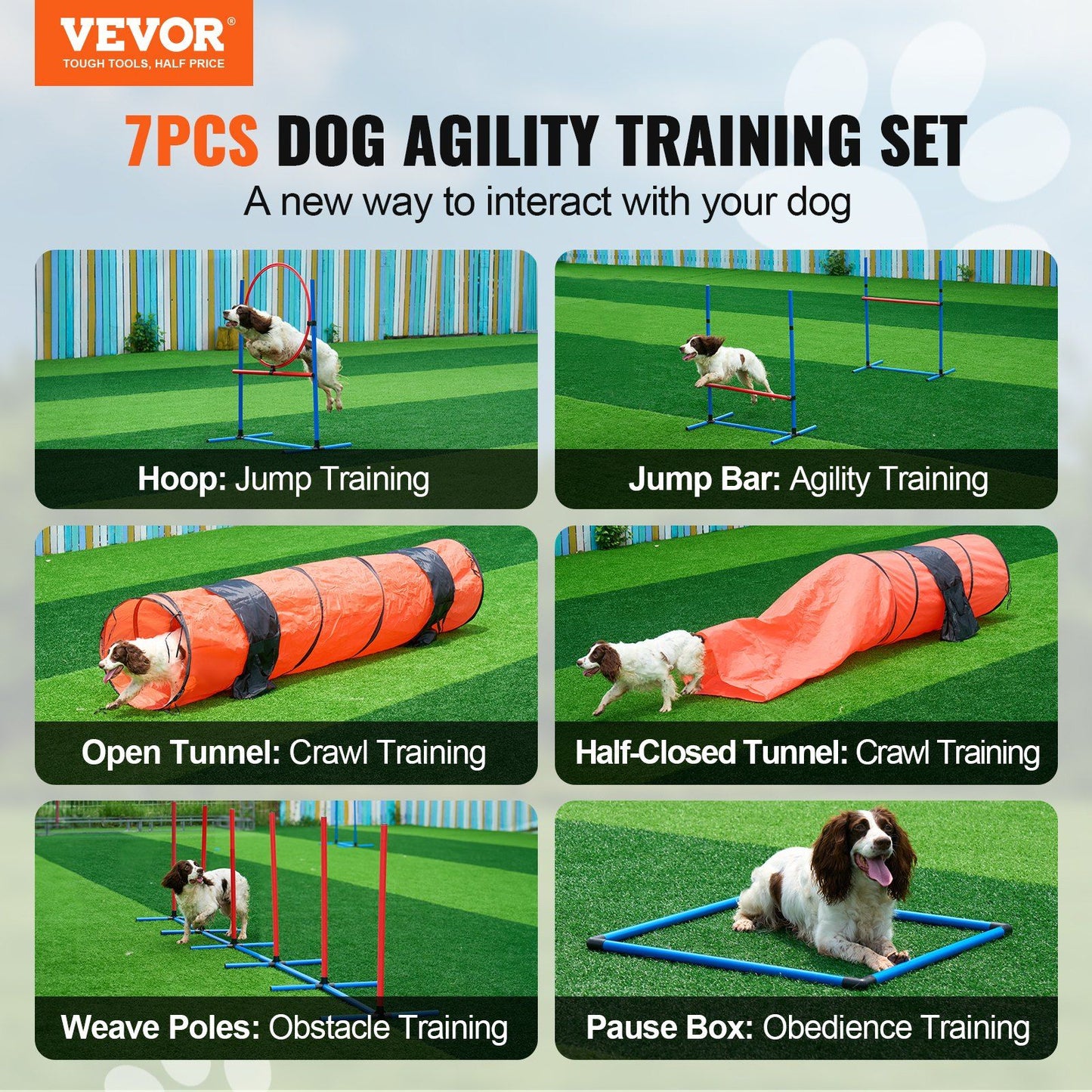 Dog agility training set with hoop, jump bar, open tunnel, half-closed tunnel, weave poles, and pause box for dog agility training set