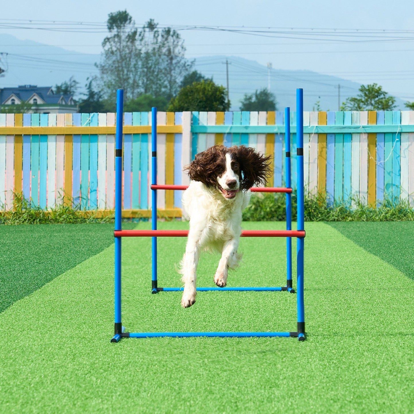 Dog jumping over hurdle in blue and red dog agility training set on green turf