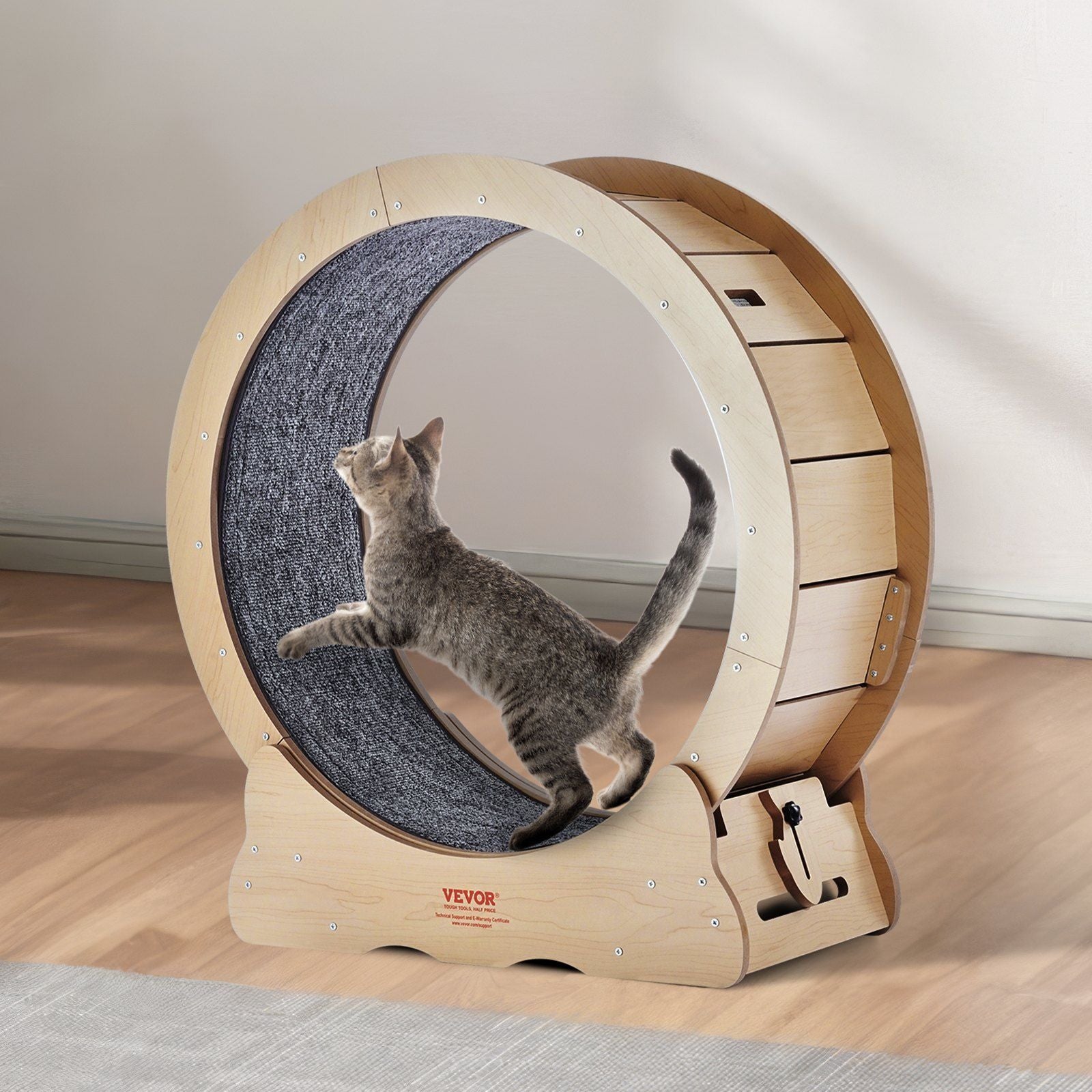 Large cat exercise wheel made of wood with carpet running surface and gray tabby cat running indoors