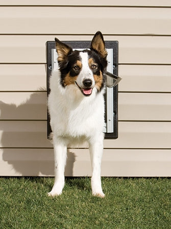 PetSafe Wall Dog Door - Medium PawCounter.com