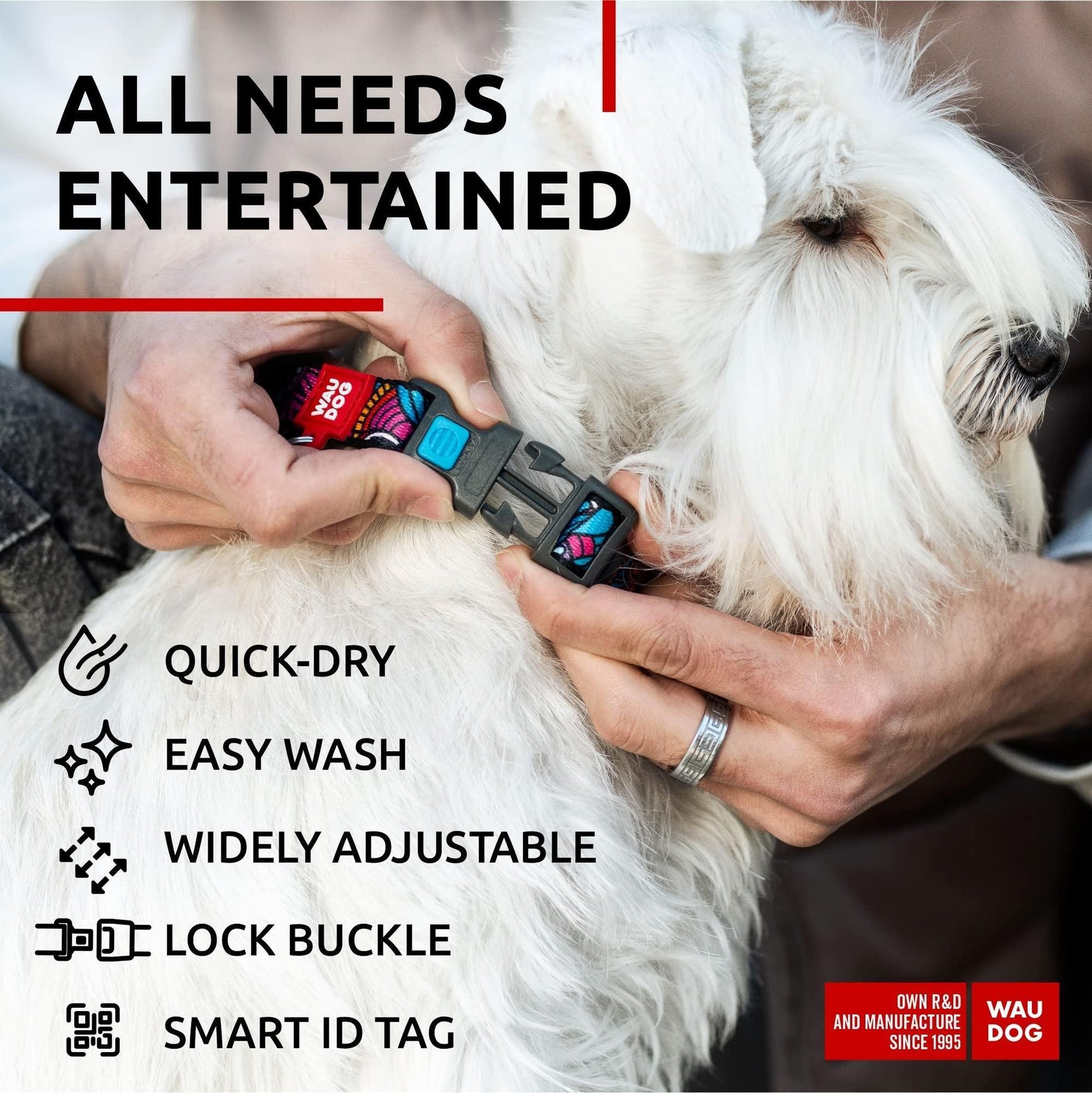 Adjustable nylon dog collar with lock buckle and smart ID tag being secured on a white fluffy dog