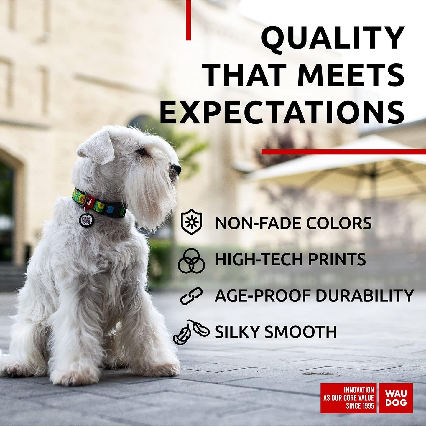 White dog wearing an avocado dog collar adjustable with non-fade colors and high-tech prints sitting outdoors