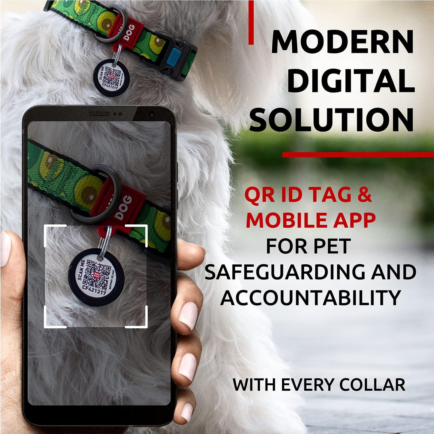 Avocado dog collar adjustable with QR ID tag for pet safeguarding shown on white dog with mobile app