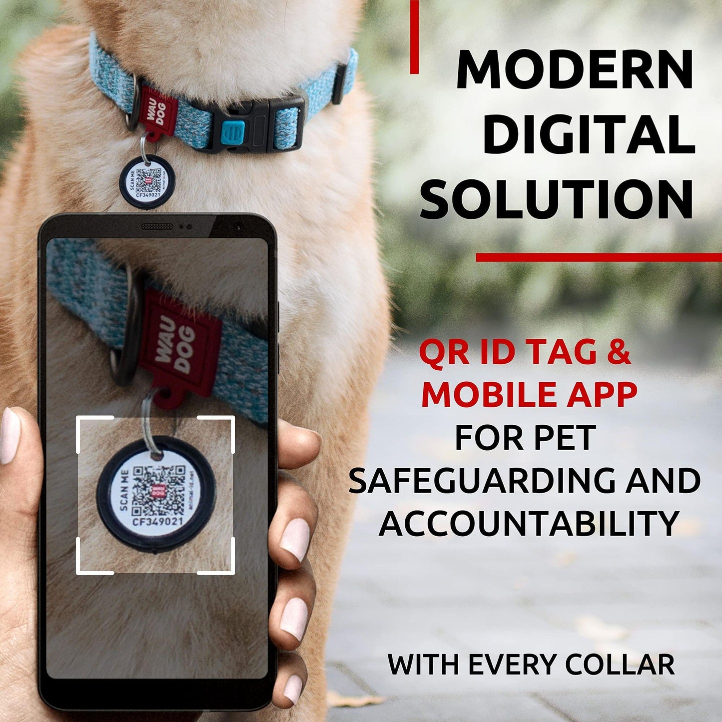 Reflective cotton dog collar on a dog with QR ID tag scanned by mobile app for pet safety