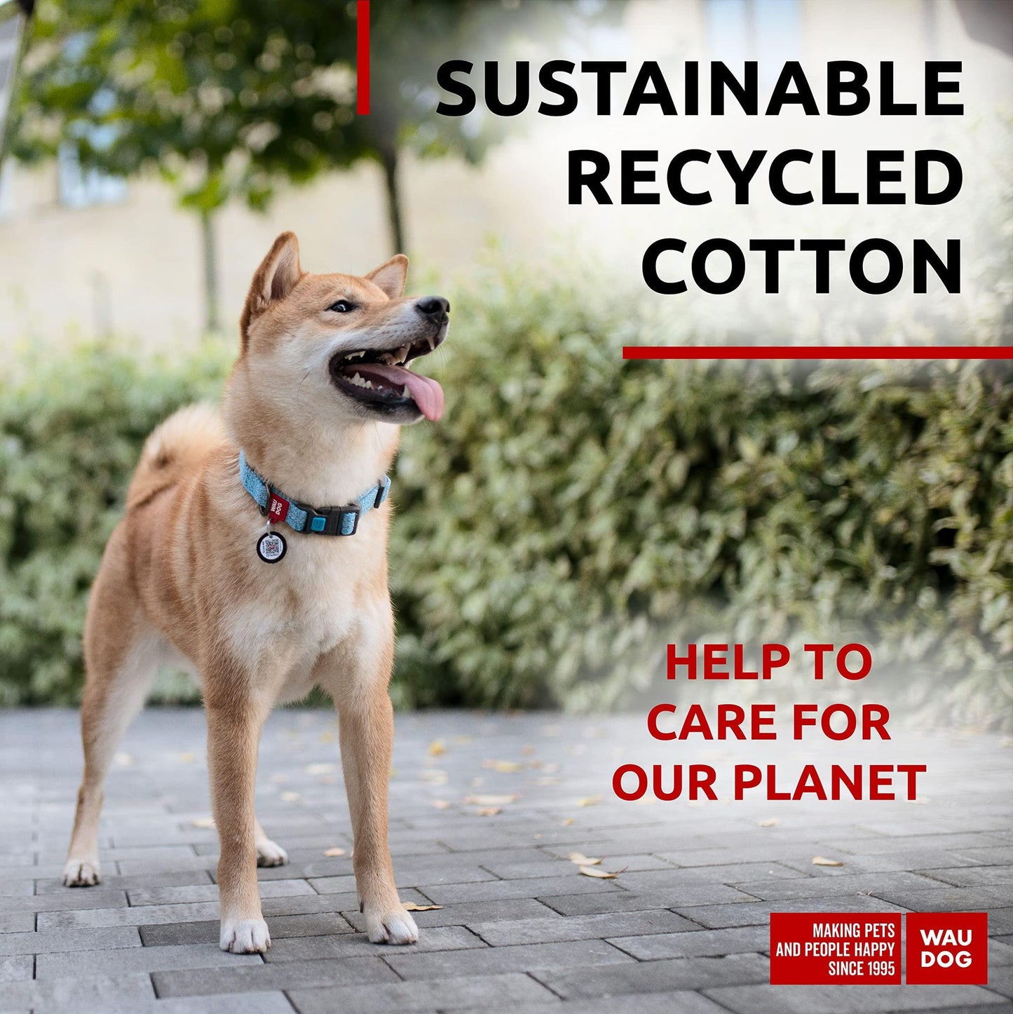 Shiba Inu wearing a reflective cotton dog collar made of sustainable recycled cotton outdoors