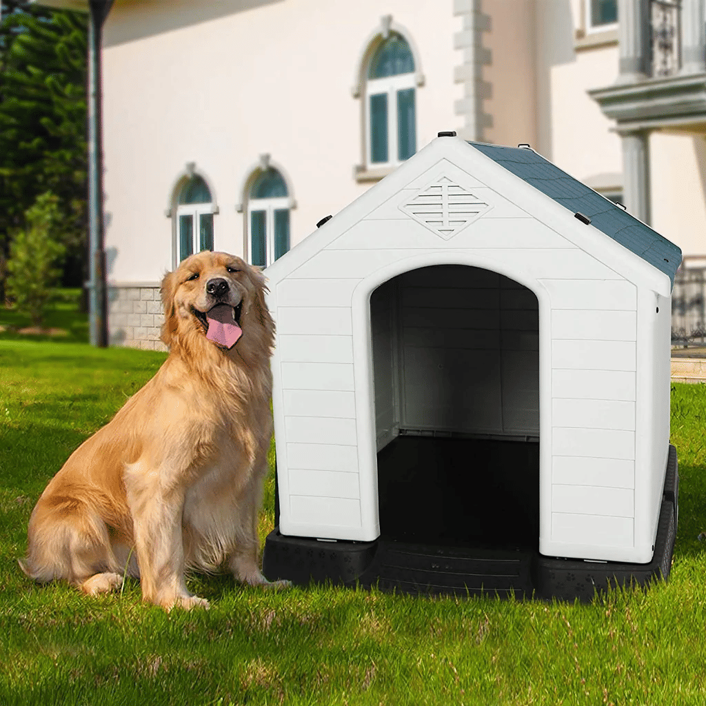 Golden retriever sitting beside a white weatherproof outdoor dog house on green lawn