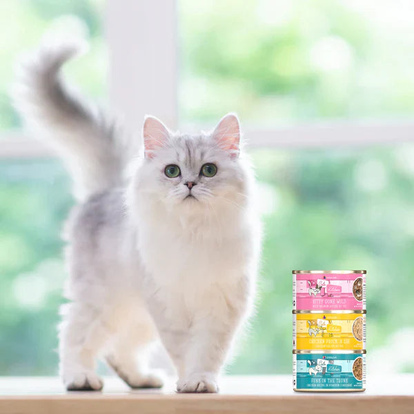 Cute fluffy white cat standing next to The Family Pet salmon wet cat food cans stacked on table