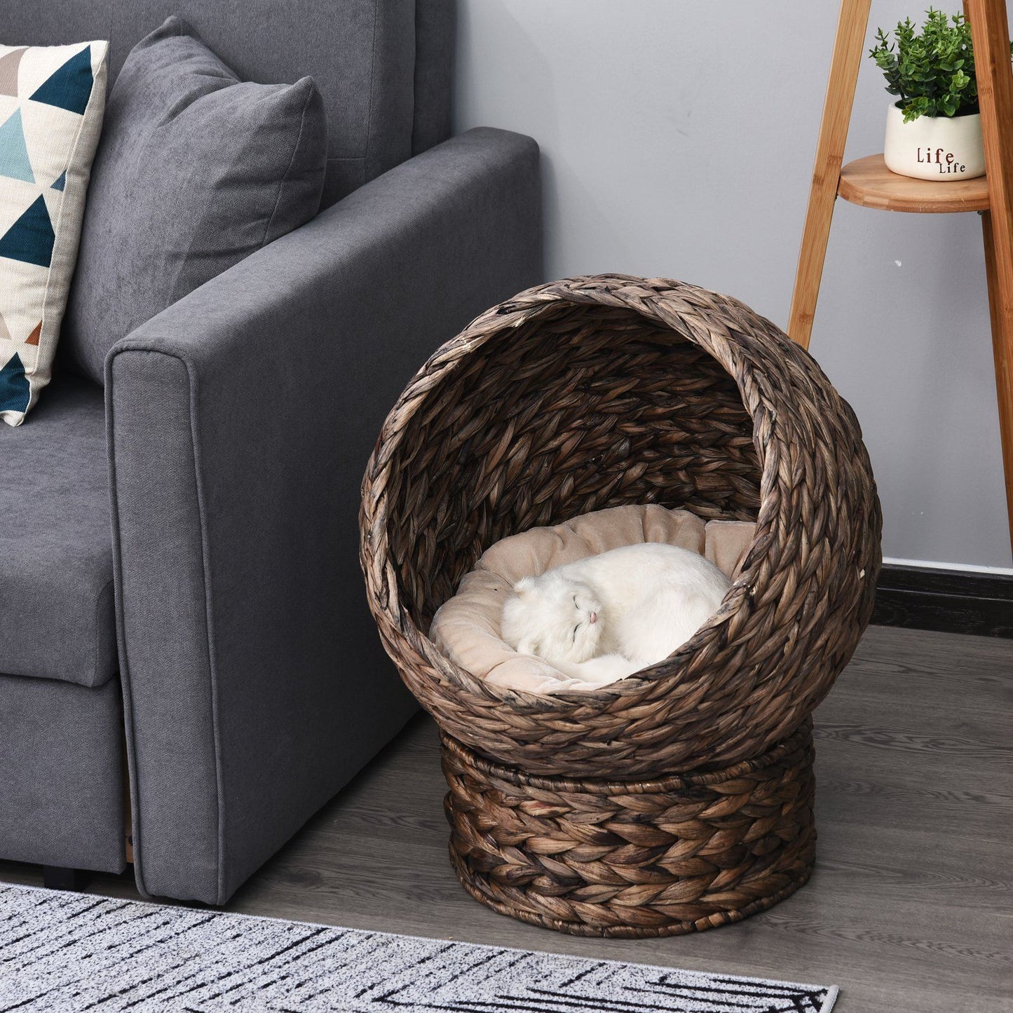 Wicker cat bed with cushion in living room featuring curled white cat inside by gray sofa