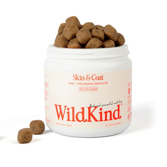 WildKind soft chew dog supplements for skin and coat with DHA and wild Alaskan salmon oil