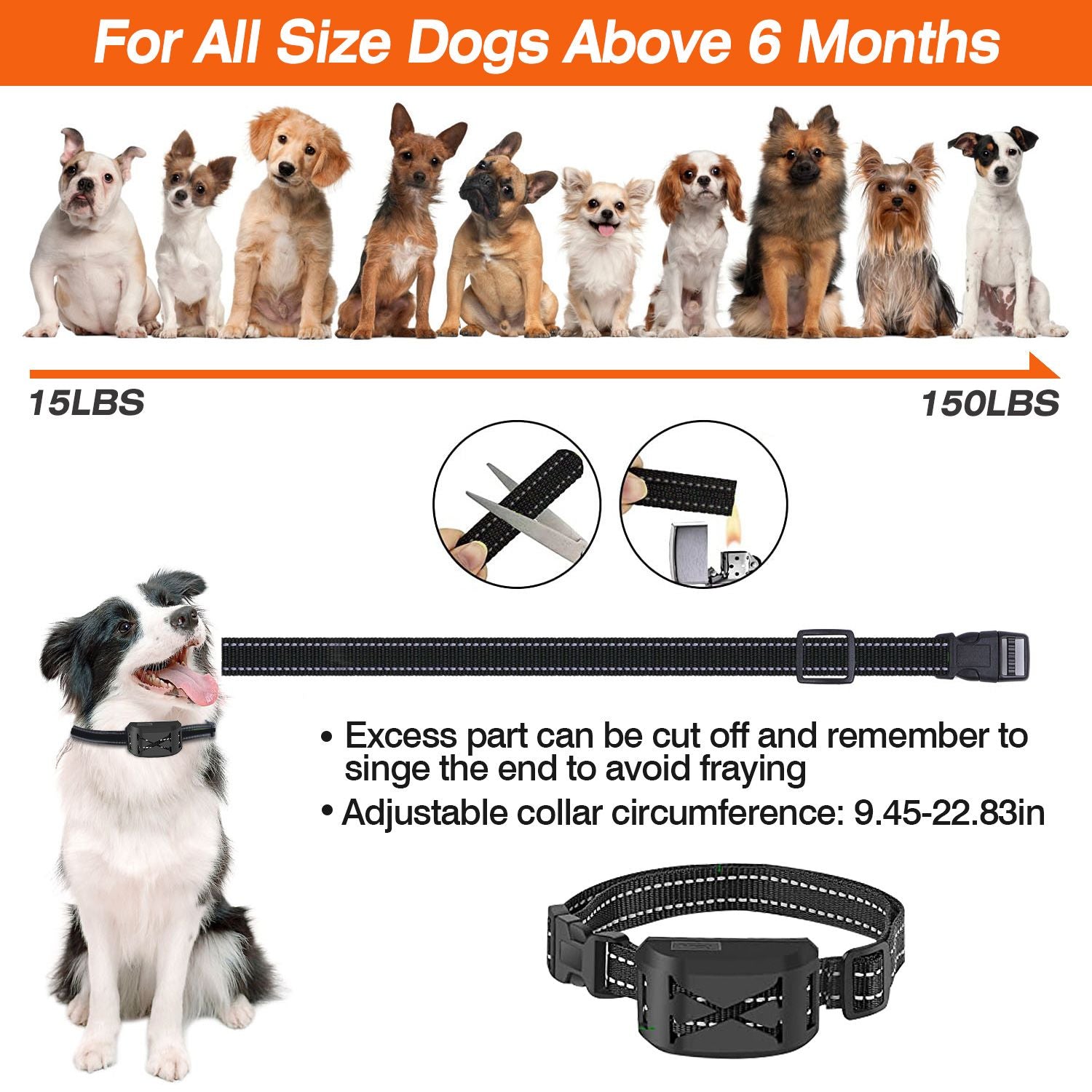 Wireless electric dog fence collar adjustable for dogs above 6 months, fits neck sizes 9.45 to 22.83 inches