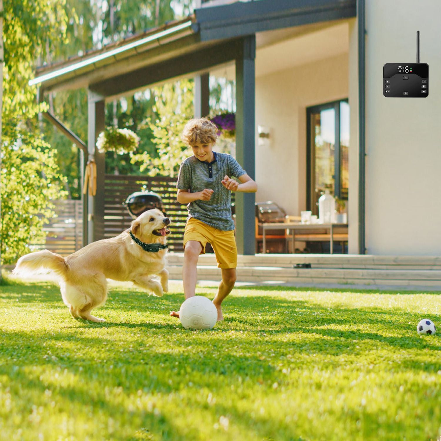 Wireless electric dog fence system in a lush backyard with a boy playing with a dog