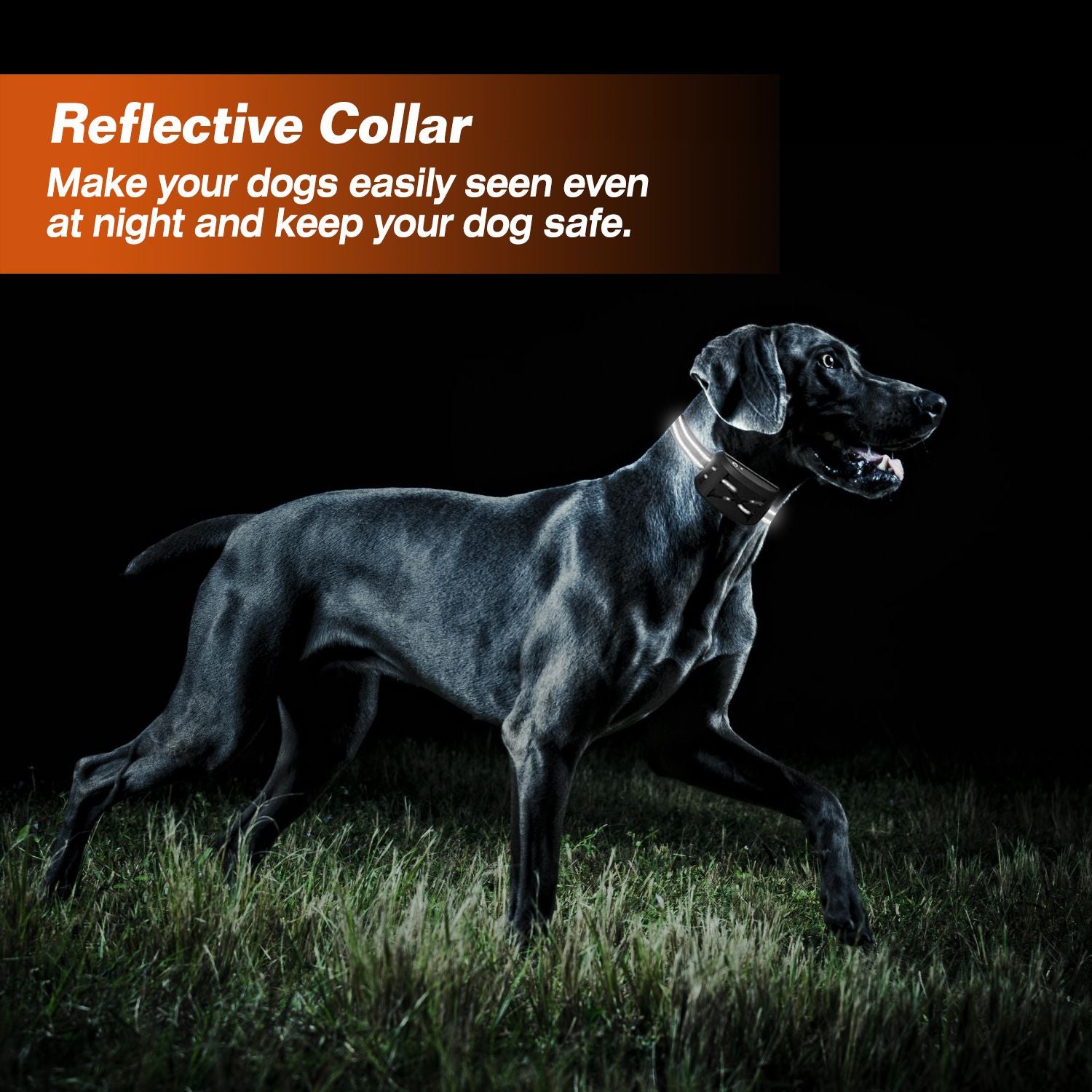 Reflective Dog Collar for Night Visibility, Ideal for Use with Wireless Electric Dog Fence