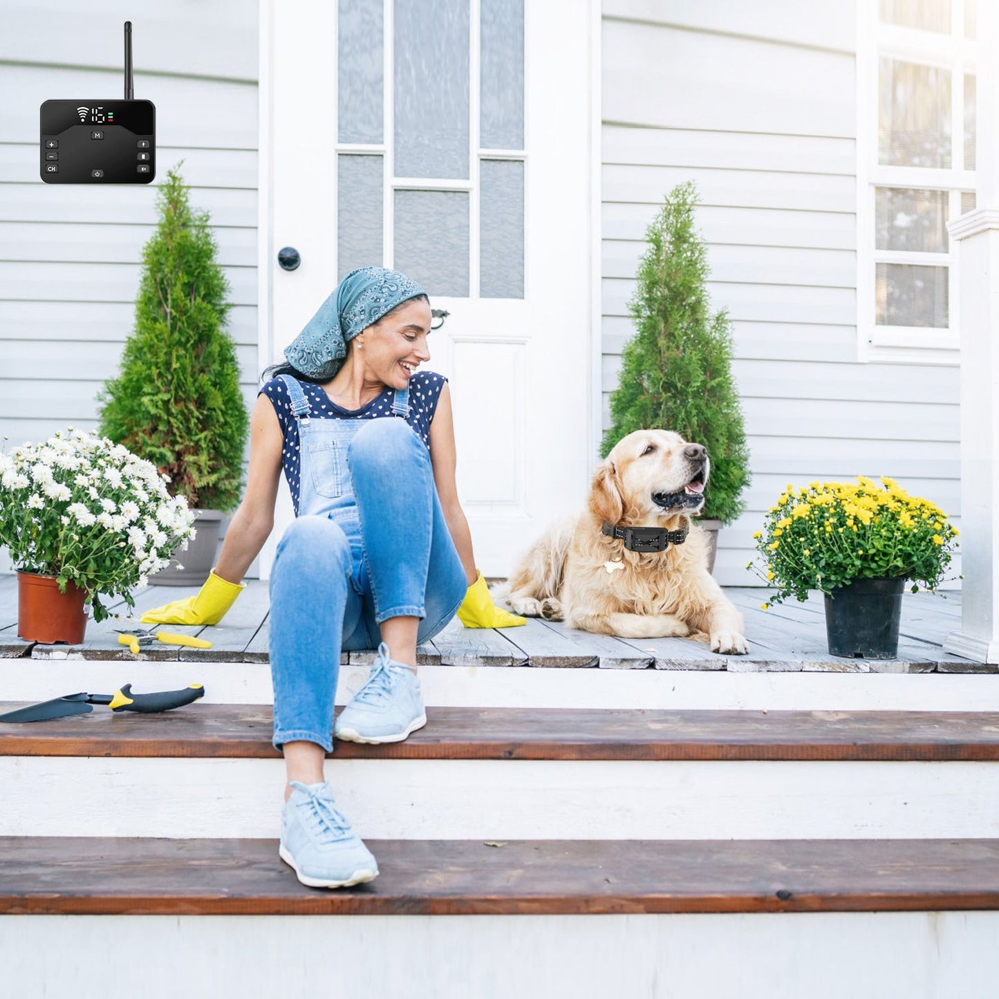 A woman sitting on steps with her golden retriever dog beside a wireless electric dog fence in a garden setting