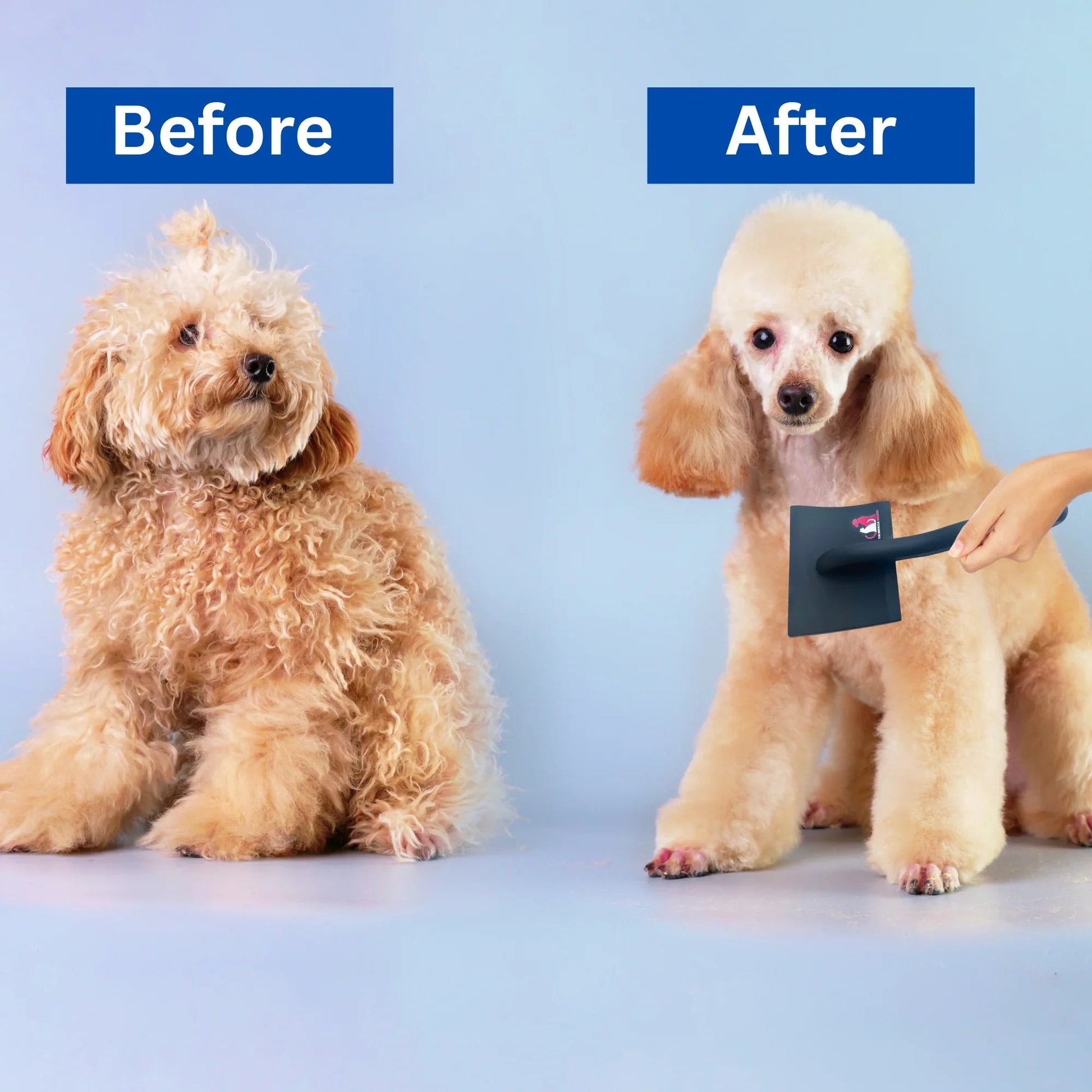 Before and after grooming using the wooden handle pet slicker brush on a fluffy dog