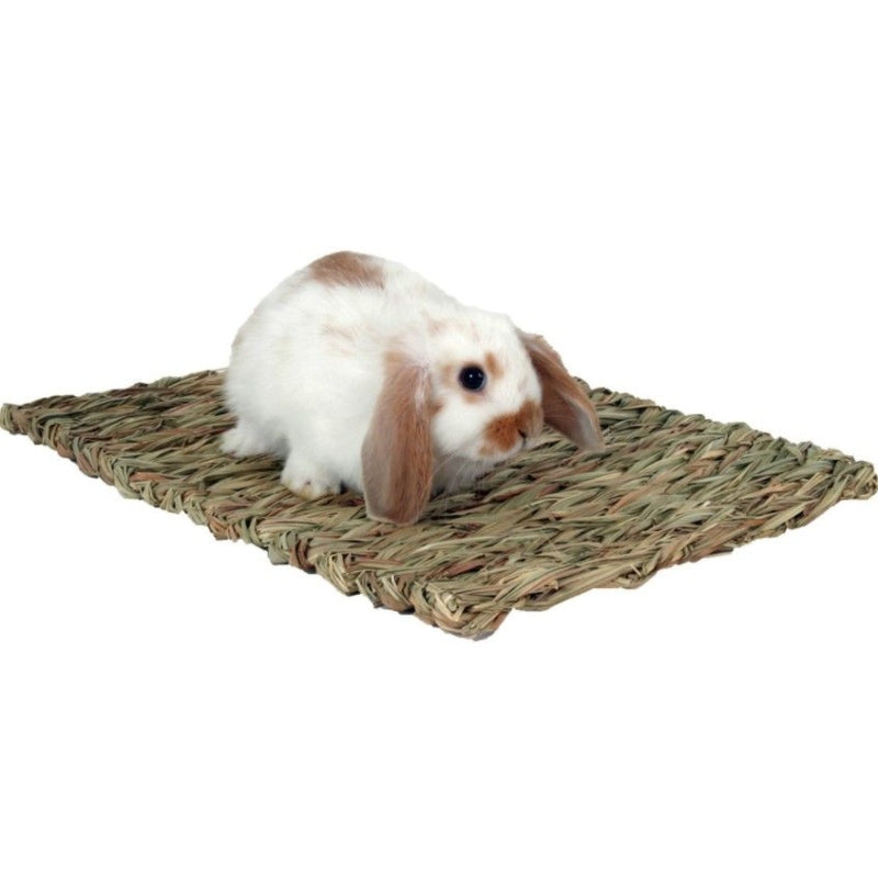 Marshall Peters Woven Grass Mat for Small Animals - 1 count