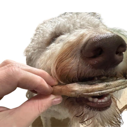 Freeze-Dried Duck Feet for Dogs, Natural Joint Support, 10 Count - Premium Quality Made in USA