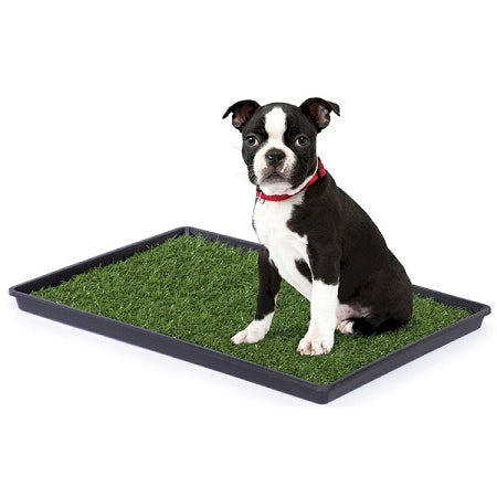 Tinkle Turf - Small PawCounter.com