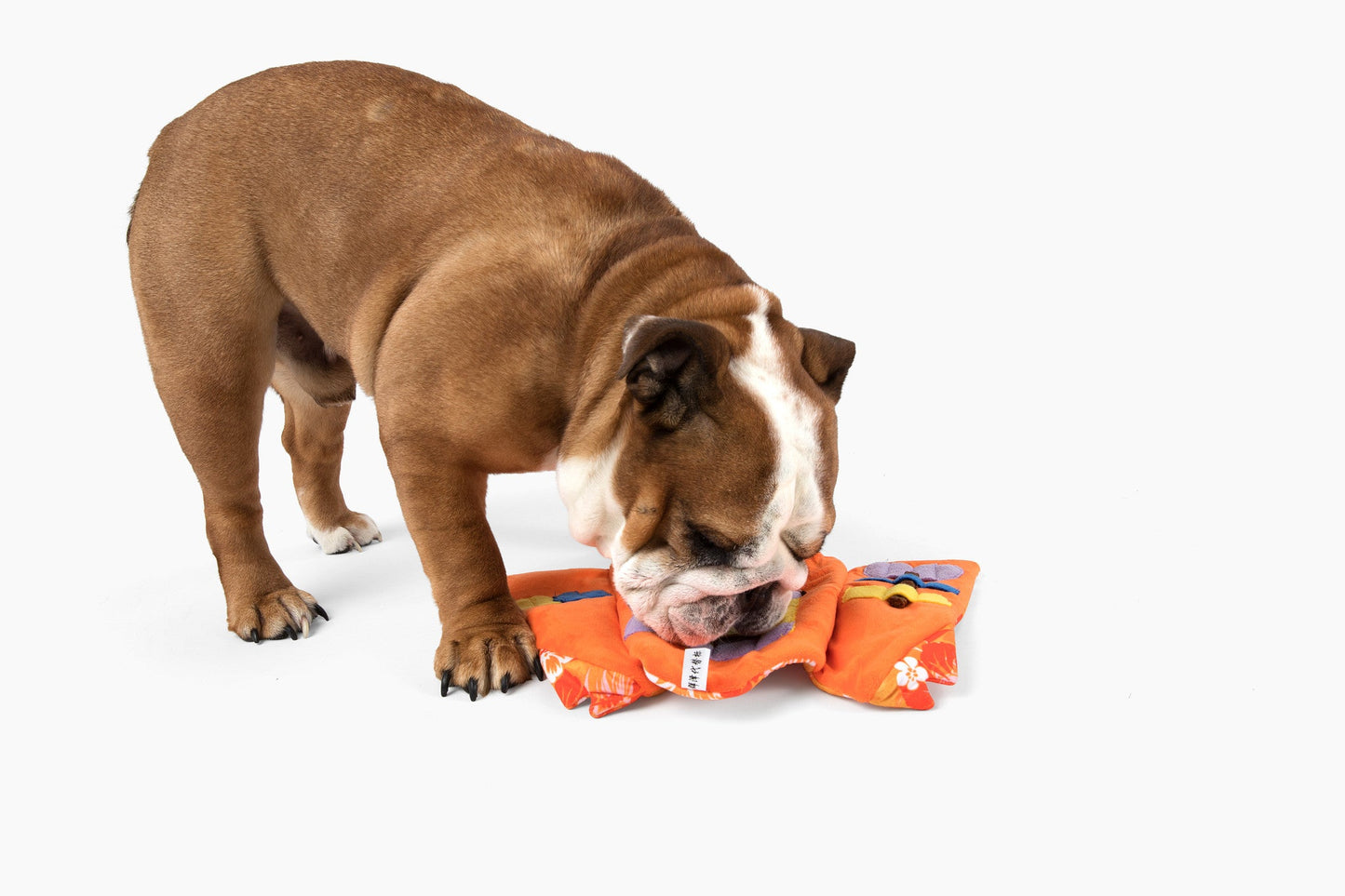 Aloha Nose Work Dog Toy