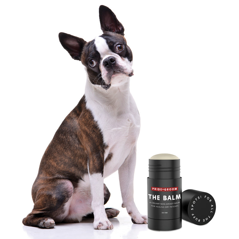 THE BALM Healing Pet Balm — Natural Paw & Nose Moisturizing Balm for Dogs & Cats