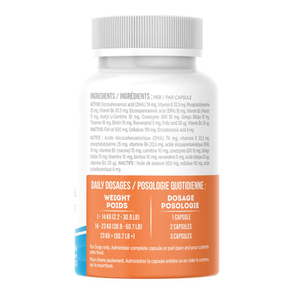 UBAVET Cognadin Memory & Brain Support for Senior Dogs – (90 ct)