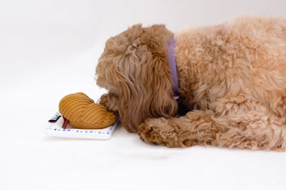 Croissant Nose Work Toy / Enrichment Toy