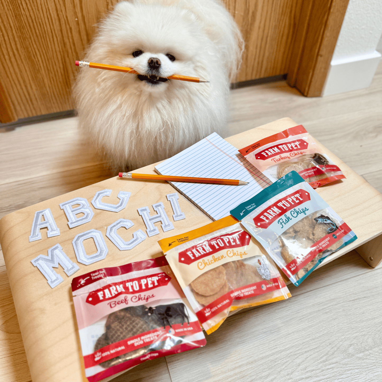 Snack Pack Dog Treat Sampler