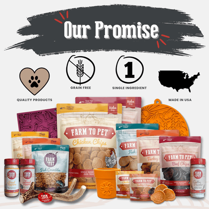 Reindeer Antler Dog Chews | Organic Chews for Dogs