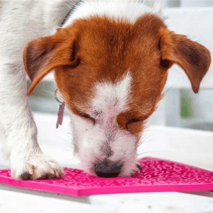 Lick Mats for Cats and Small Dogs