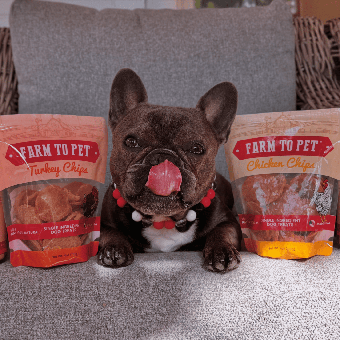 Turkey & Chicken Chip Dog Treat Duo | Single-Ingredient Poultry Treats for Dogs