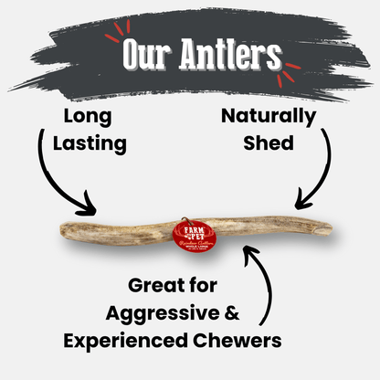 Reindeer Antler Dog Chews | Organic Chews for Dogs