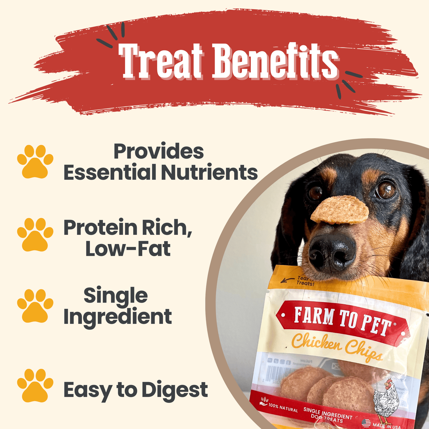 Chicken Chips Snack Pack Bundles | Dog Party Favors & Training Treats