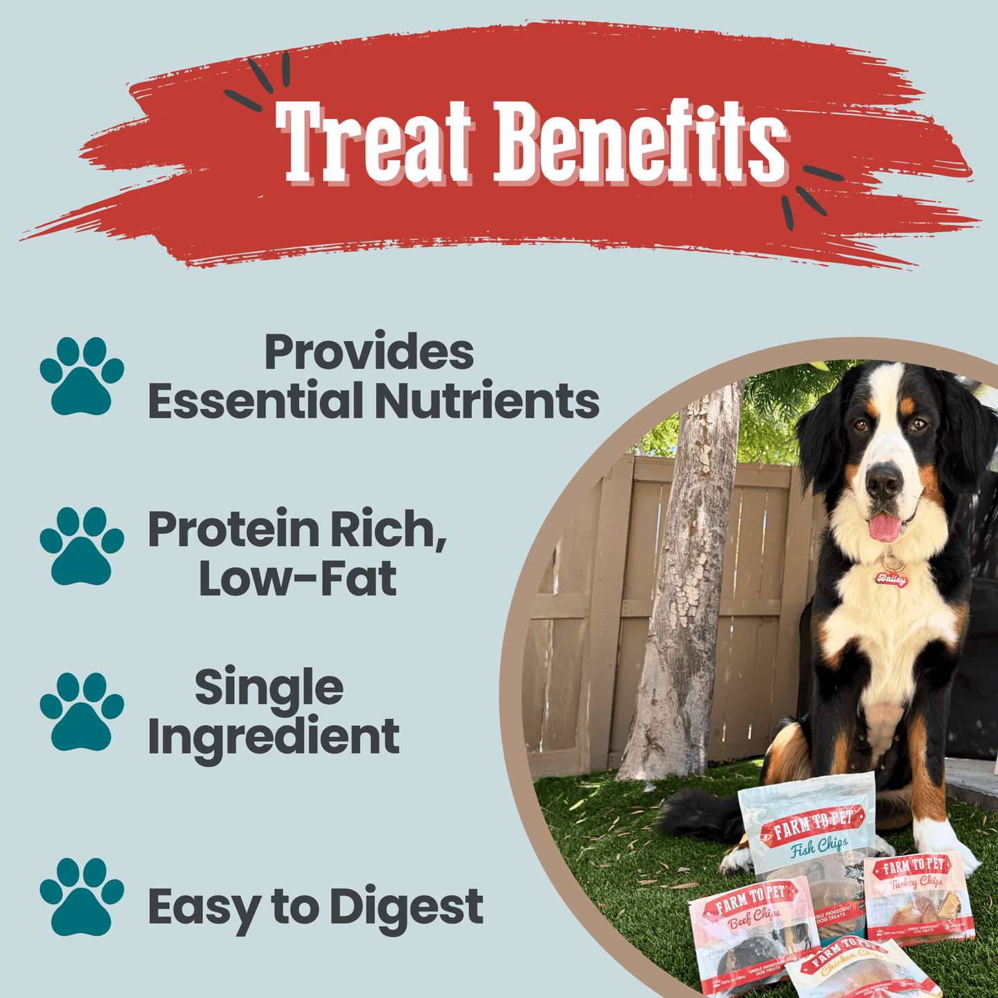 Puppy Packs 'n Snacks Dog Treat Starter Pack | Single-Ingredient Training Treats