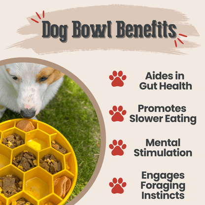 Slow Feeder Dog Bowls