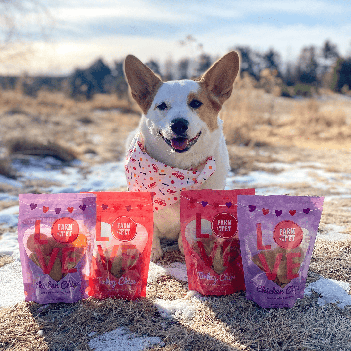 Puppy Love Dog Treat Duo | Poultry Chip Variety Pack