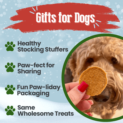 Holiday Chips Dog Treats - Beef & Fish 4oz