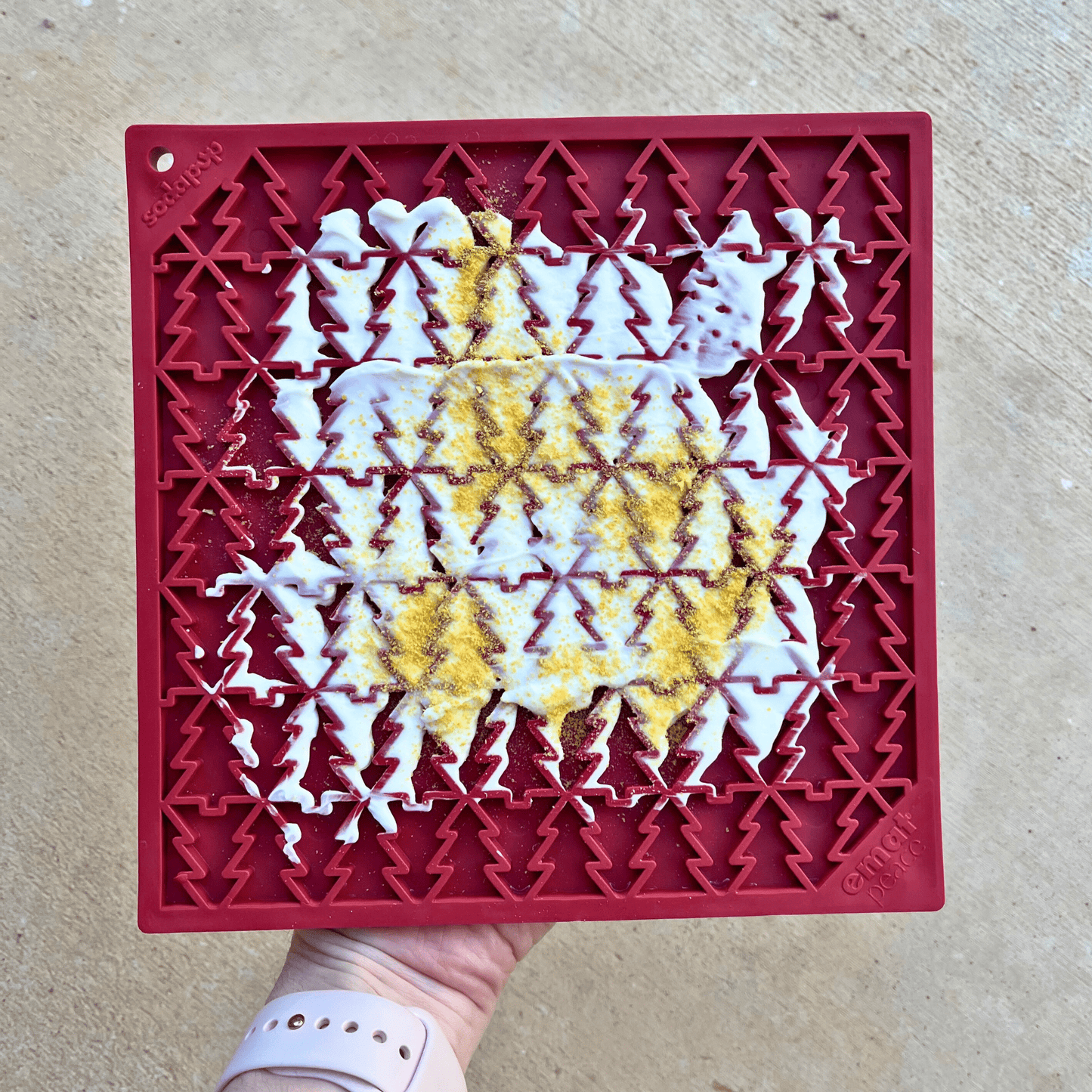 Seasons Treatings Dog Treats & Accessory Box