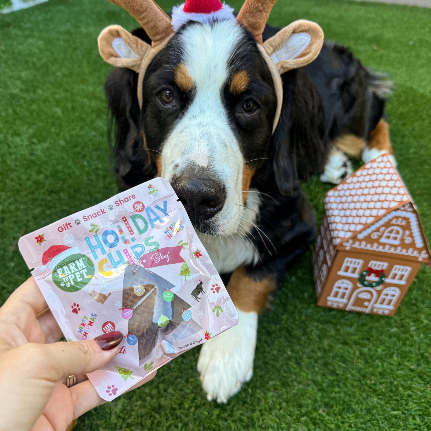 Snack Stuffers Mini Dog Treat Bags