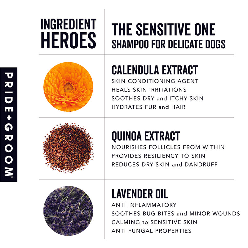 THE SENSITIVE ONE Hypoallergenic Dog & Puppy Shampoo — With Hemp Oil, Aloe & Oatmeal for Sensitive Skin