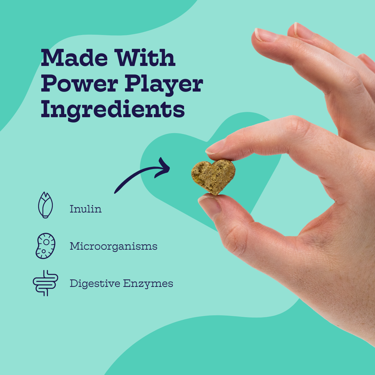 Pre + Pro Biotic Chews