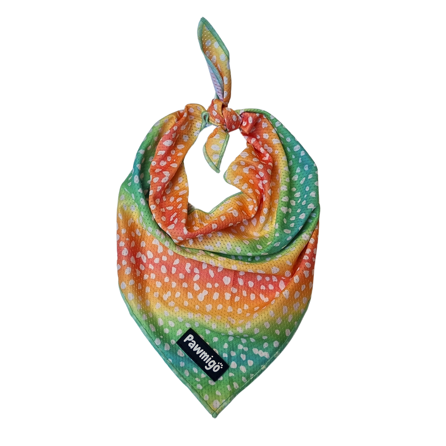 Chasing Rainbows Cooling Bandana