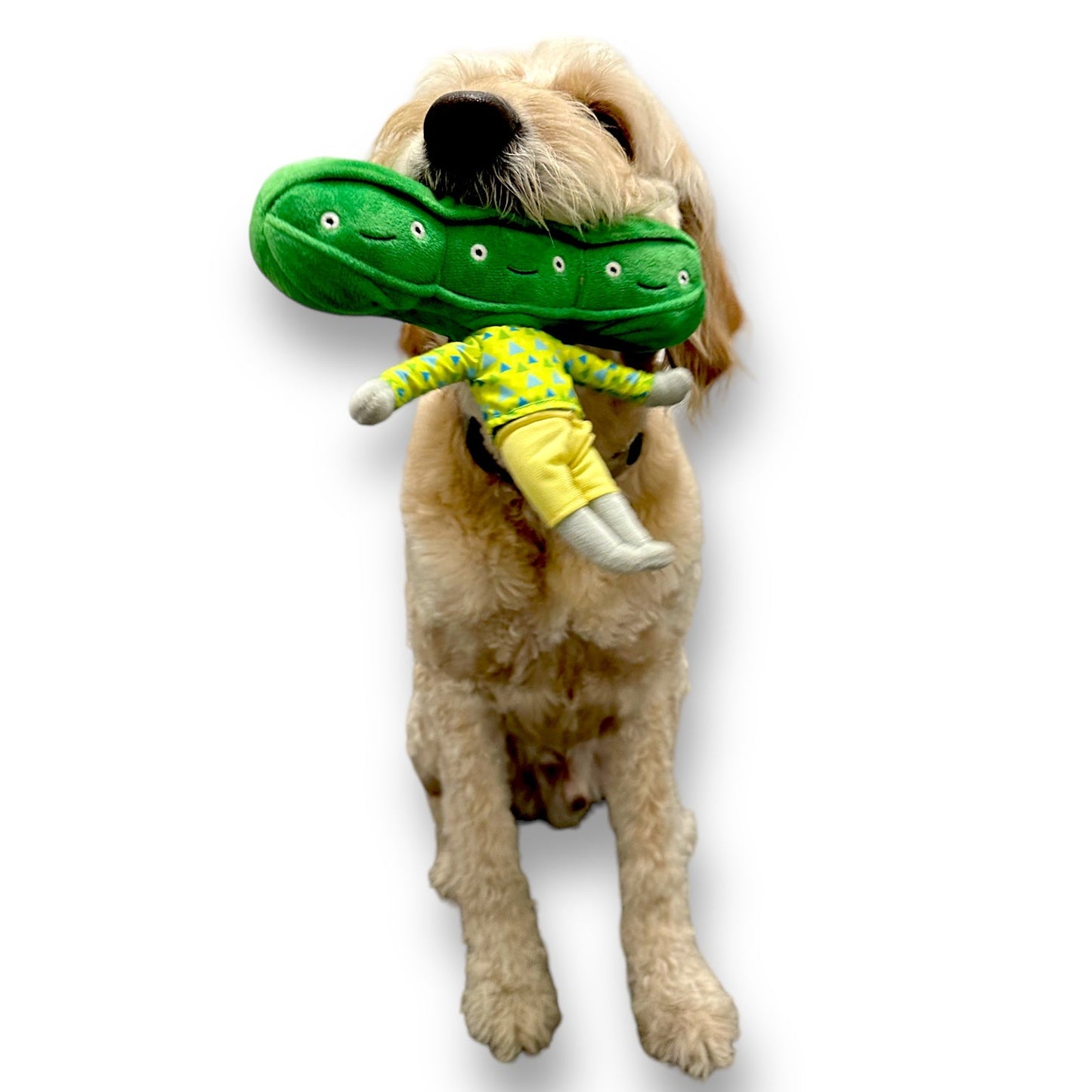 Pea Nose Work Dog Toy