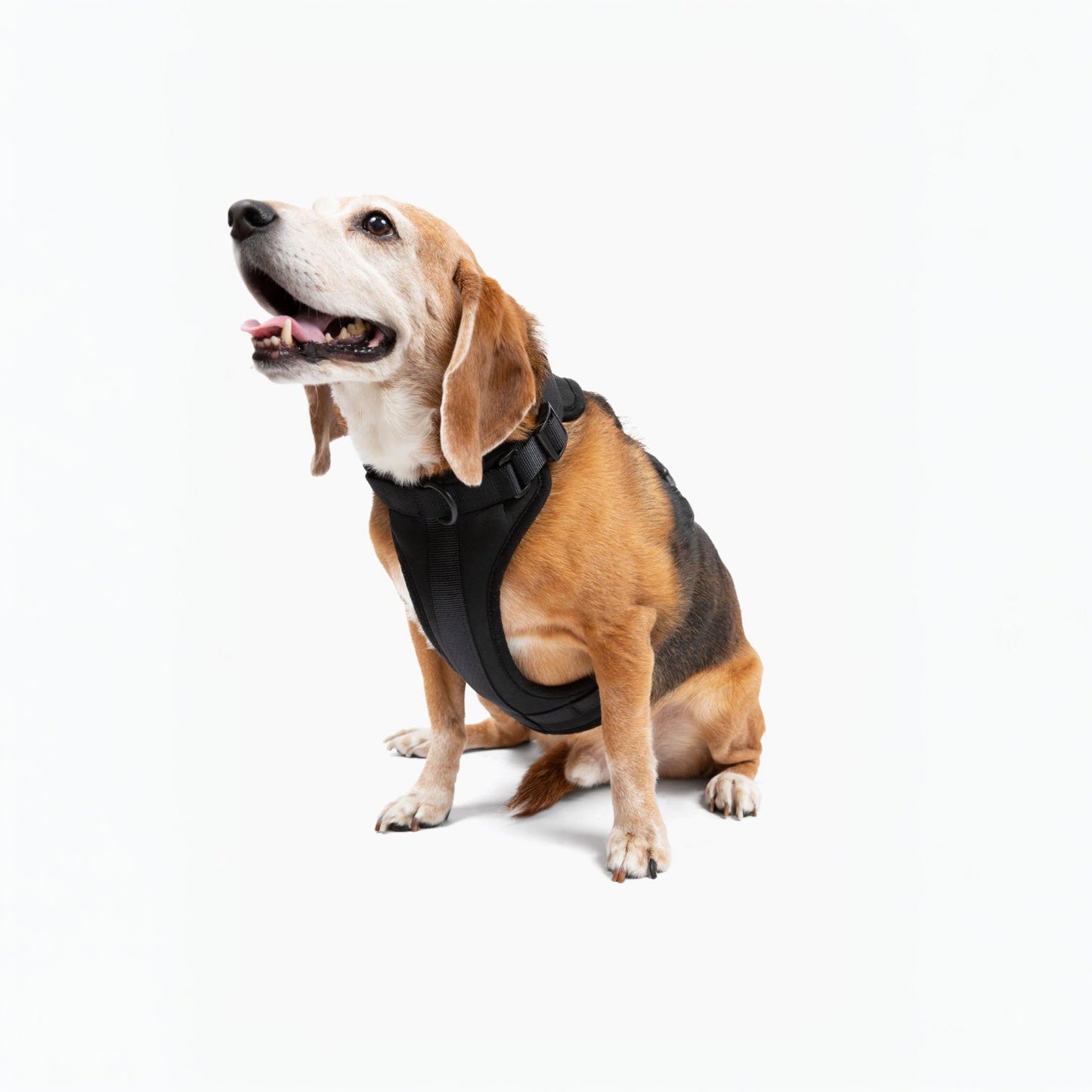 Dog Harness for Small and Large Dogs