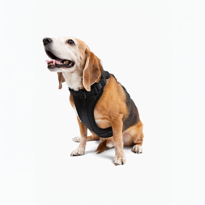 Dog Harness for Small and Large Dogs